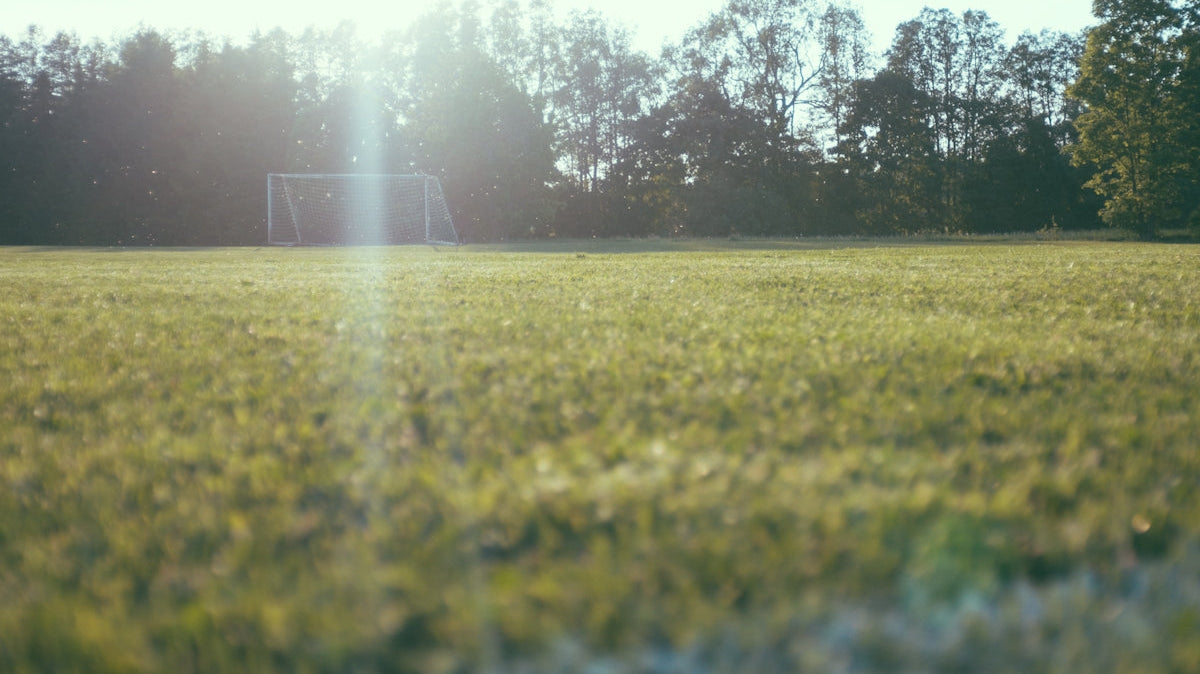 worm's view of soccer goalie on lawn near tall trees