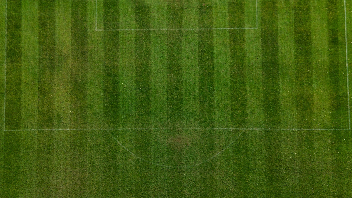 an overhead view of a soccer field with a soccer goal