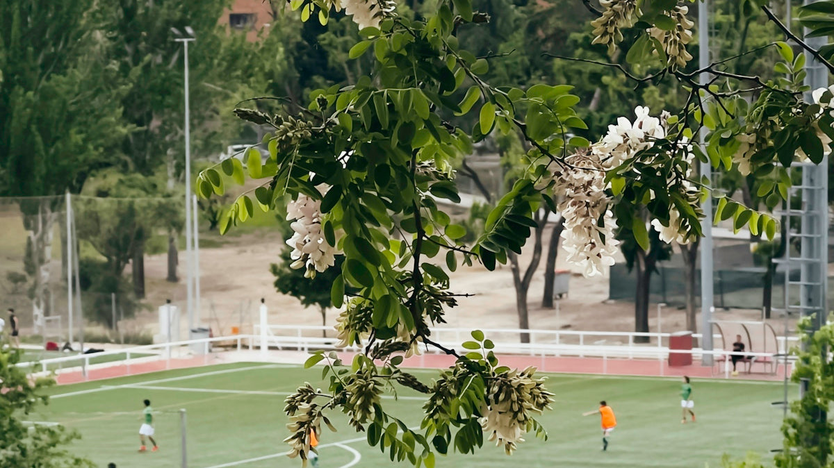 a group of people playing a game of soccer