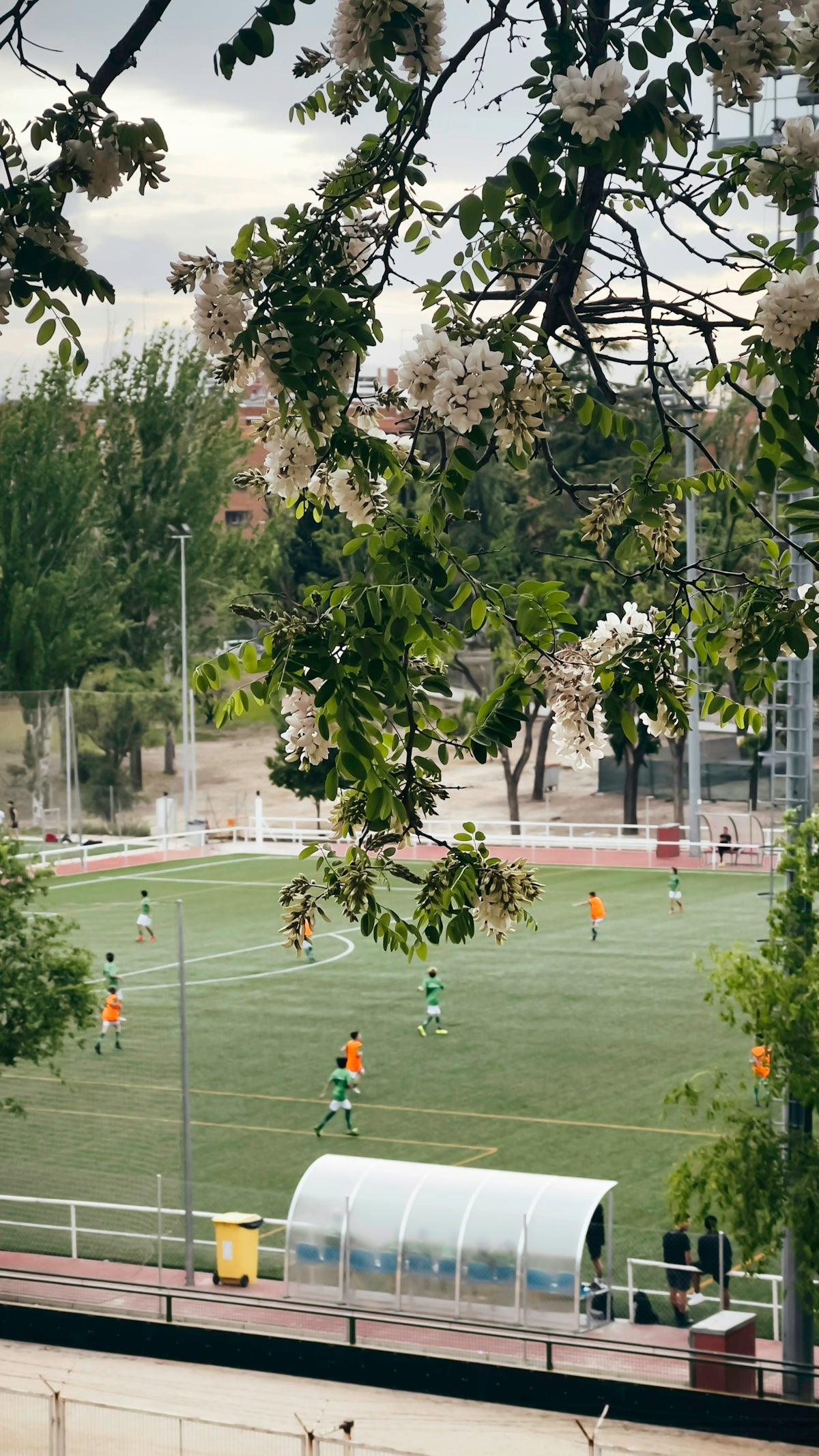 a group of people playing a game of soccer