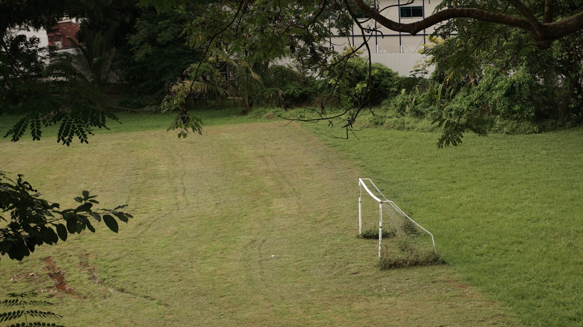 a soccer goal sitting in the middle of a field