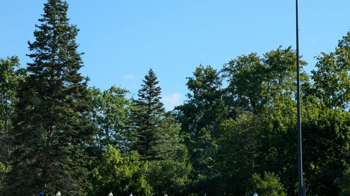 A soccer field with a goal and trees in the background
