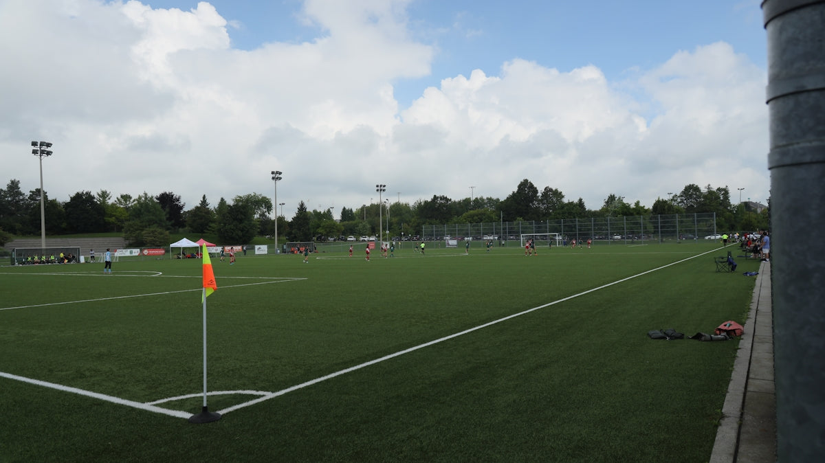 A soccer field with a goal post in the middle of it