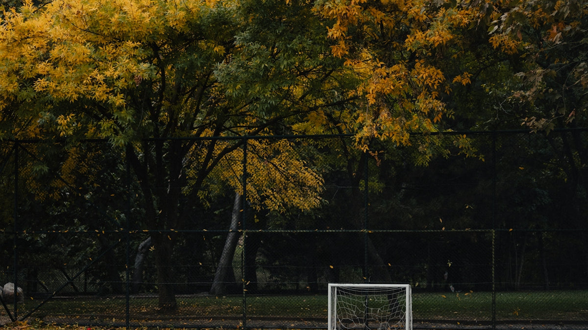 A soccer field with a goal in the middle of it
