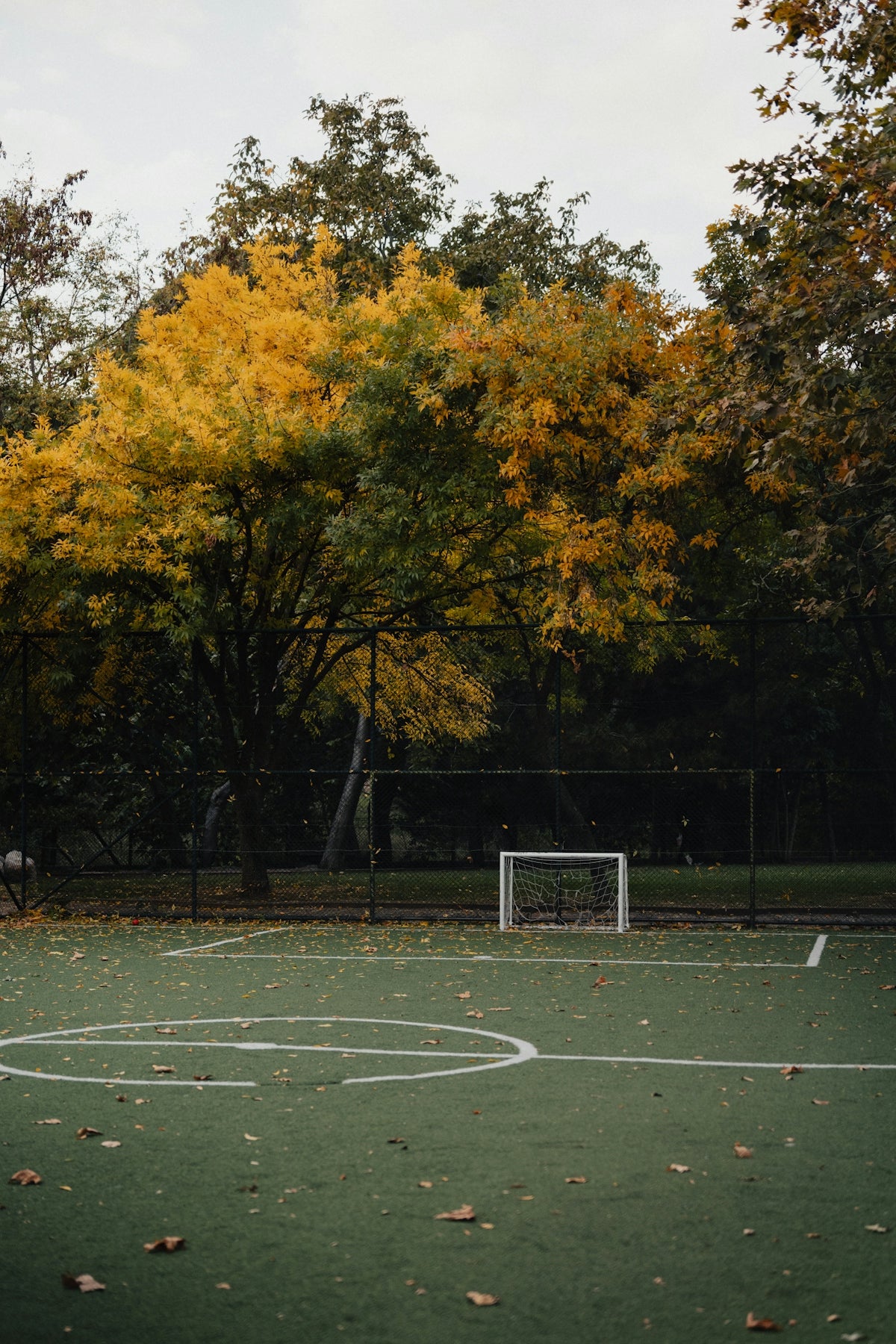 A soccer field with a goal in the middle of it