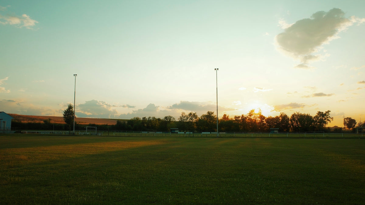 A beautiful sunset over a grassy field.