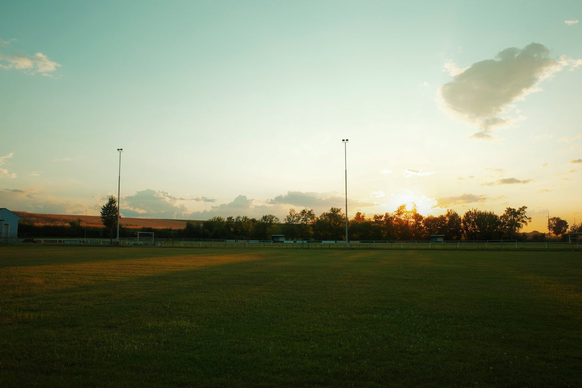 A beautiful sunset over a grassy field.