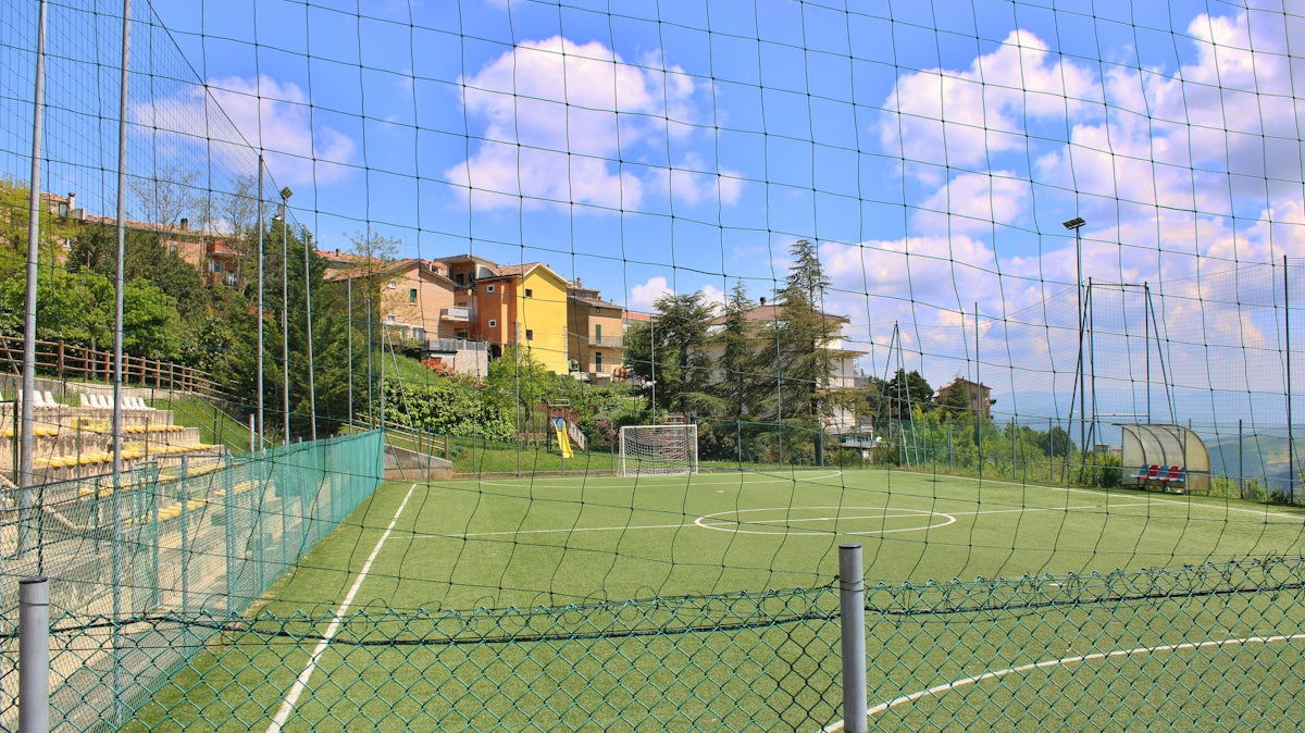 Soccer field with goal and surrounding buildings.