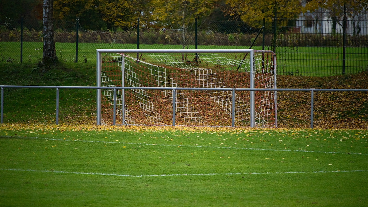 Soccer goal filled with autumn leaves on a field