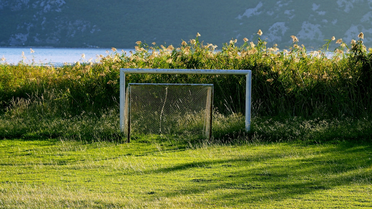 Small goal on a grassy field near water and mountains.
