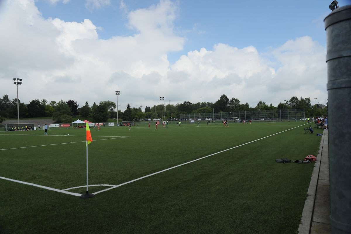 A soccer field with a goal post in the middle of it