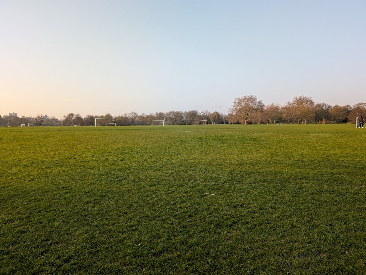 A vast green field under a blue sky.