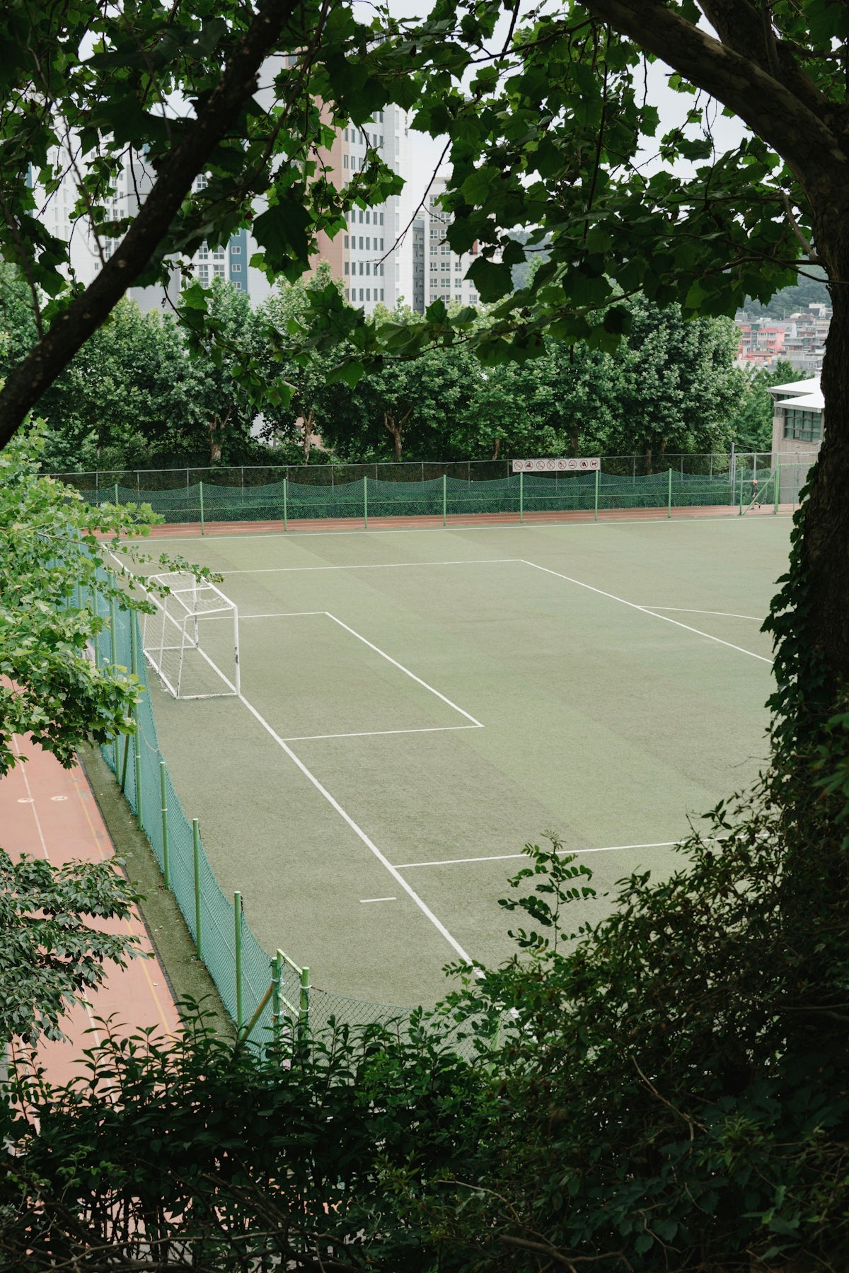 A soccer field is seen from behind some green foliage.