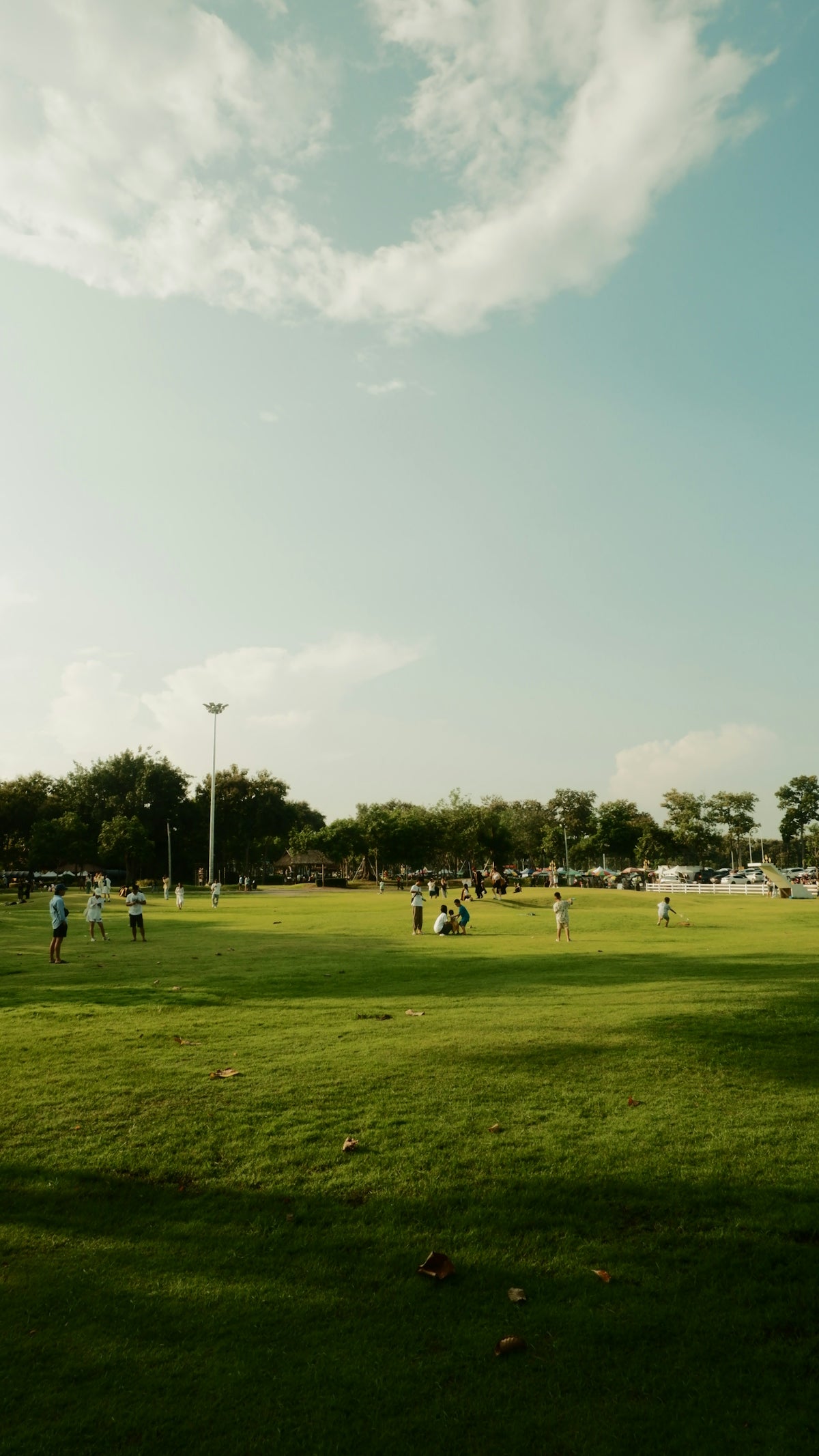 People are playing on a green field under a blue sky.
