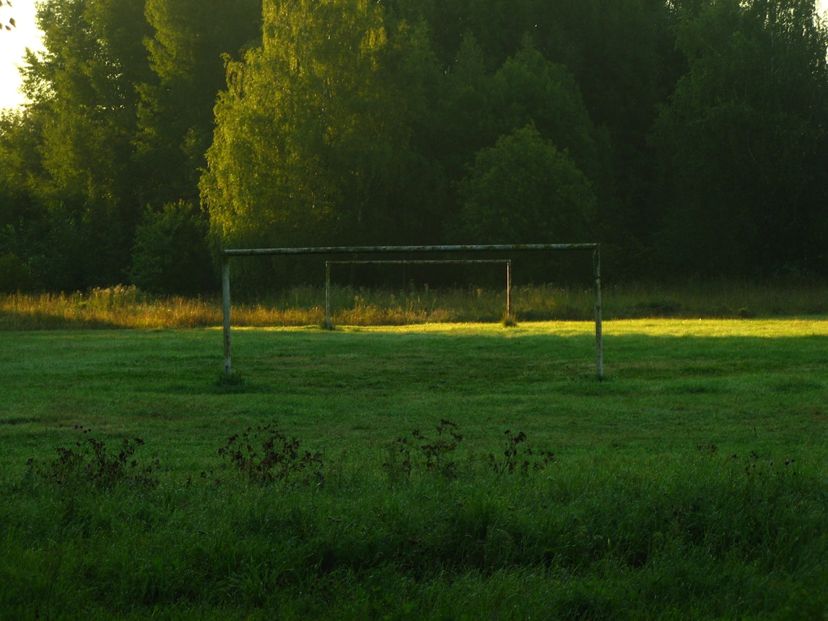 Empty soccer goals on a grassy field at dawn.