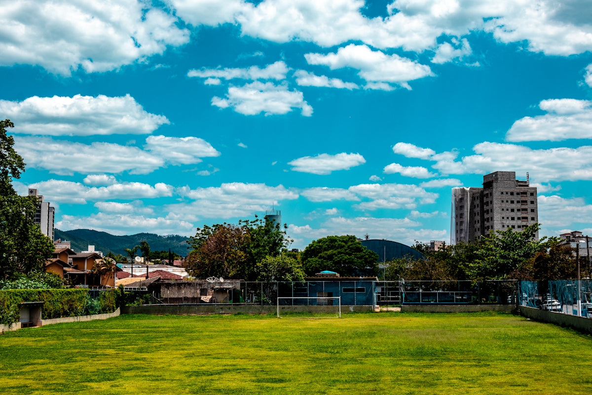 Green soccer field under a bright blue sky.