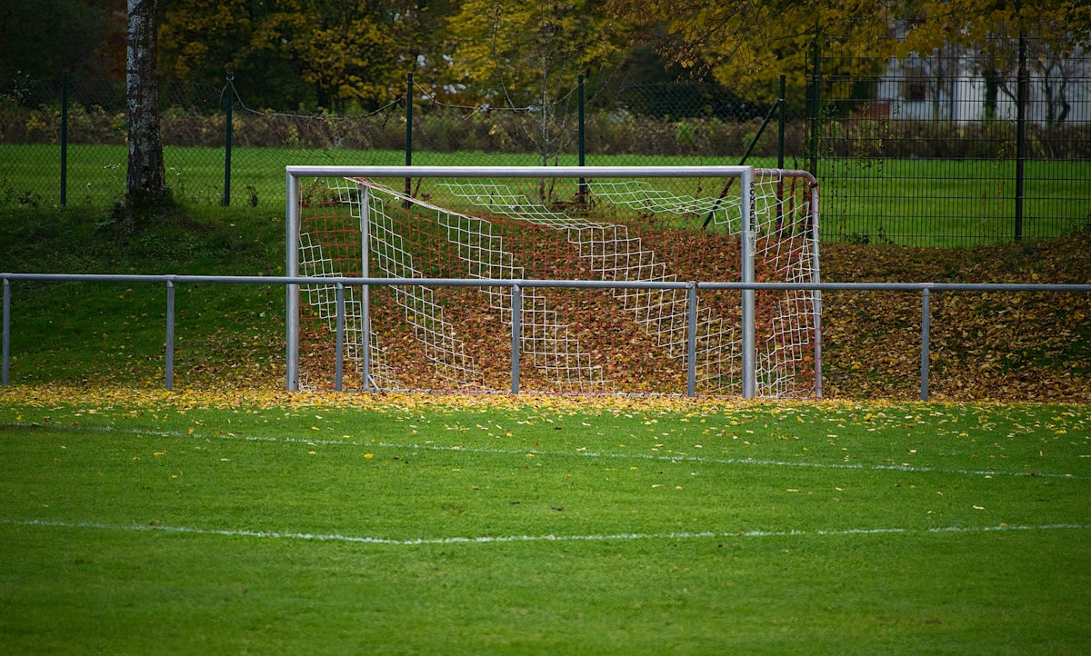 Soccer goal filled with autumn leaves on a field