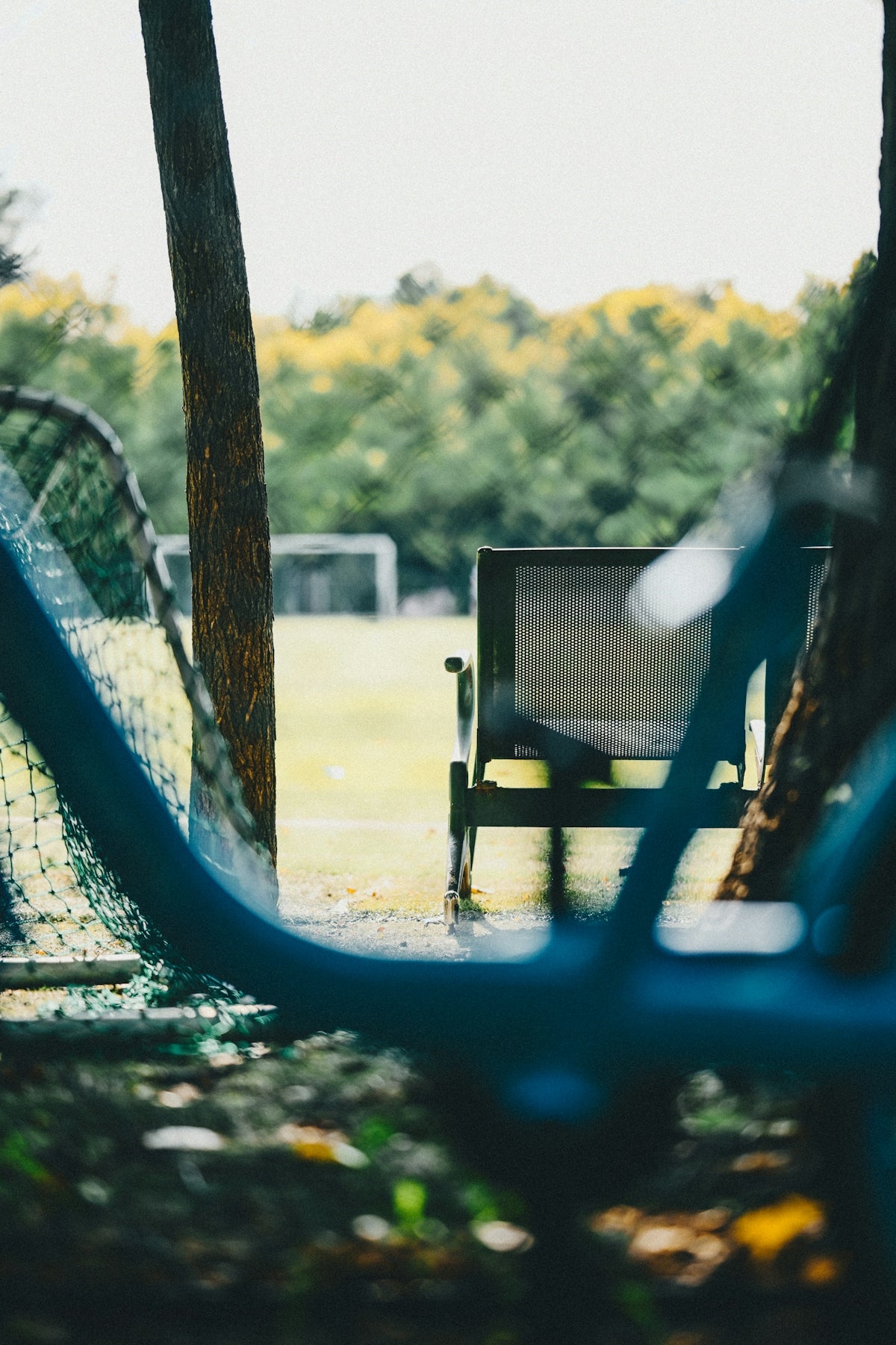 A metal chair facing a soccer field through a gap between two trees